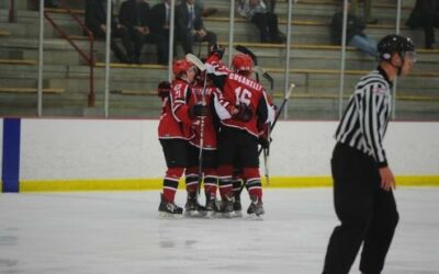 Titans Defeat Knights 2-1