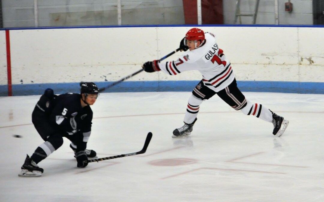 Ladd returns to lineup, leads Titans to 6-3 victory over Knights