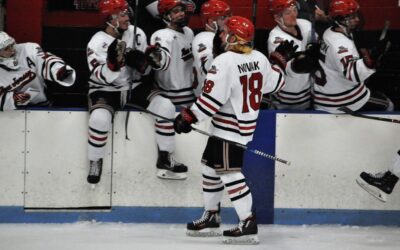 Novak commits to Wilkes University