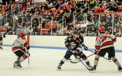 Titans drop matinee game in 2-1 loss to Knights