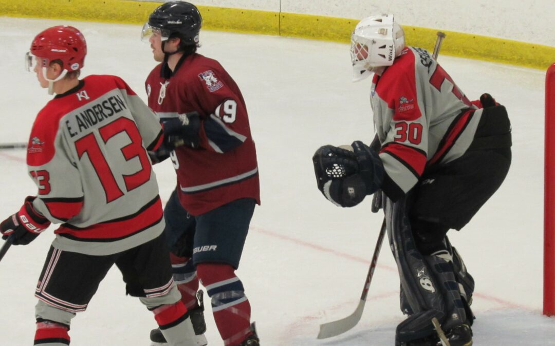 Sergeev stands on head and leads Titans to 2 – 1 win over Ice Dogs