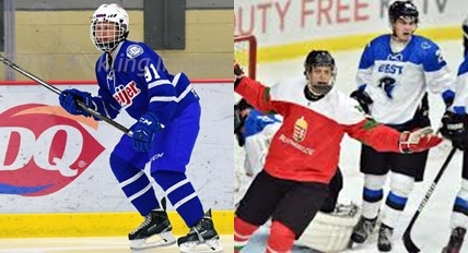 Titans add forwards Josh Rule and Levente Keresztes to roster