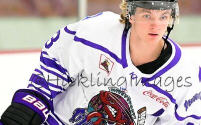 Titans trade for Shreveport Forward Feczko