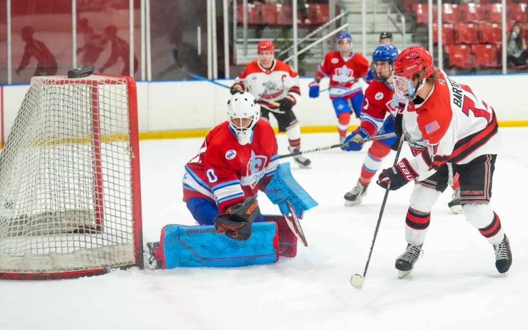 Bartecko’s goal in OT gives Titans 5 – 4 win over Nordiques