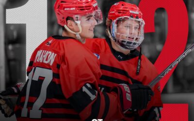 Titans Win in Overtime 2-1